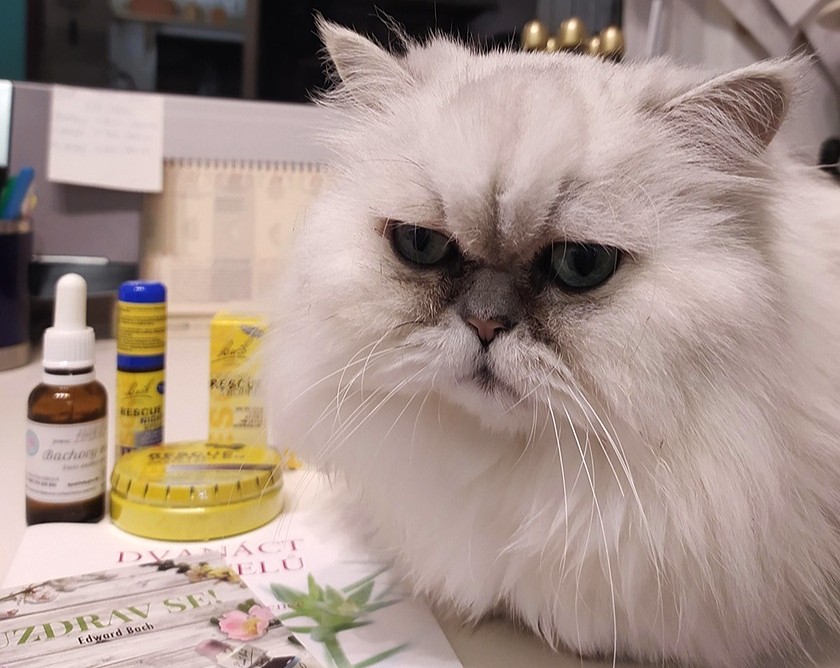 Bachovy esence pro&nbsp;zvířata